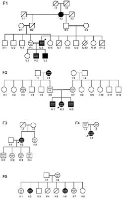 A CARD9 Founder Mutation Disrupts NF-κB Signaling by Inhibiting BCL10 and MALT1 Recruitment and Signalosome Formation